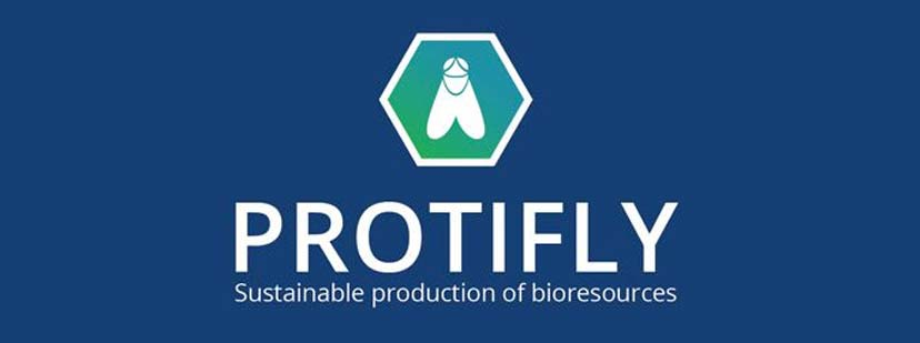 Protifly - Elevage de larves d’insectes à partir de biodéchets - Nouvel'R association de développement territorial par l’économie circulaire